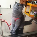 Фото компанії Ветеринарна клініка "City Vet"