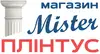 Логотип компанії Магазин-салон "Містер Плінтус"