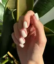 Фото компанії Nail_boutique