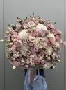 Фото компанії Azalea flowers