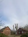 Фото компанії Професійне зрізання дерев