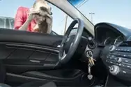 Фото компанії Аварійне відкривання дверей сейфів і автомобілів без пошко +