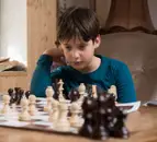 Фото компанії Chess masters