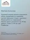 Фото компанії Консалтинг Ужгород