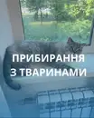 Фото компанії Клінінг "IClean"