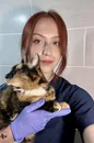 Фото компанії Ветеринар на виїзд