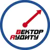 Фото компанії Аудиторська компанія "Вектор аудиту"