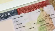 Фото компанії STATUS EU