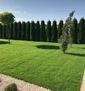 Фото компанії Косіння трави