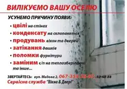 Фото компанії Сервісна служба "Вікна, двері"