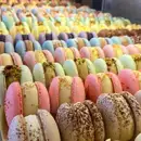 Фото компанії ARABICA