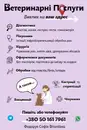 Фото компанії Ветеринар на виїзд