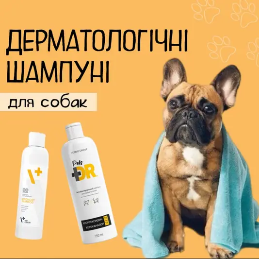 Фото компанії Pet’s shop "VAYLS"