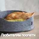 Фото компанії Ветеринарна аптека "Зоолікар"