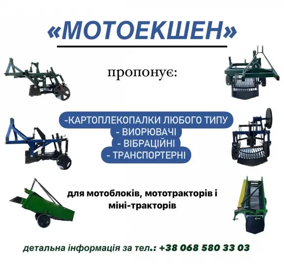 Фото компанії Мотто екшен