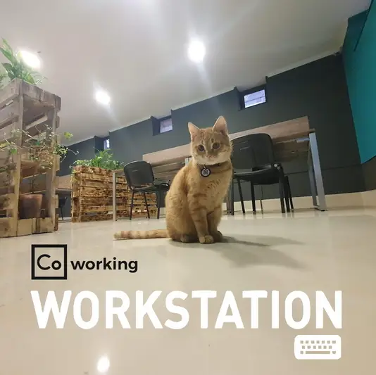 Фото компанії Workstation