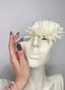 Фото компанії Blueberry Beauty Lounge