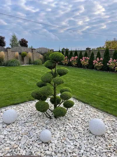 Фото компанії Green Garden