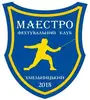 Фото компанії Фехтувальний клуб "Маестро"