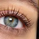 Фото компанії Make up/Brows/Lashes by IRA GEREGA