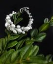 Фото компанії Li Lova accessories