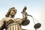 Фото компанії Адвокати