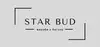 Логотип компанії Star Bud