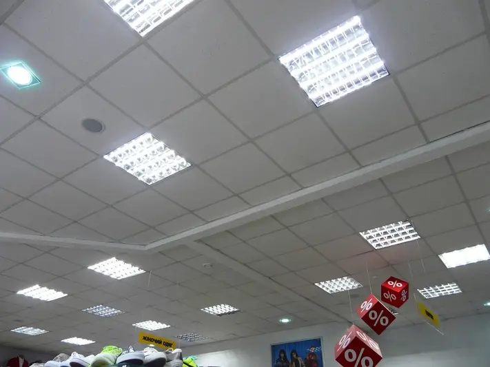 Фото компанії ТзОВ "DELLY LTD"
