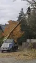 Фото компанії Обрізка дерев по Львівські
