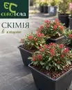 Фото компанії Садовий центр "EuroСад"