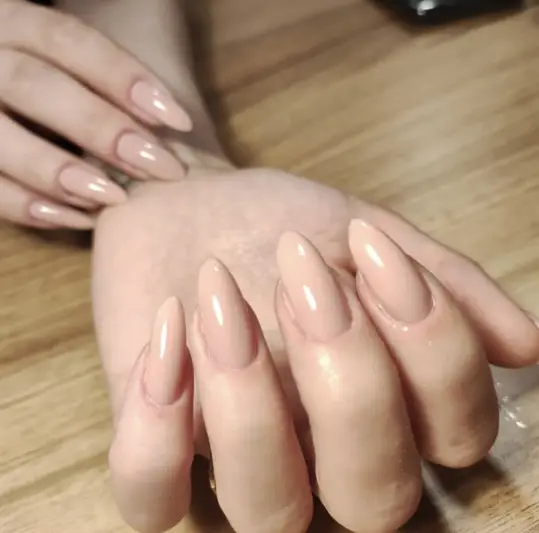 Фото компанії Alyona Studio