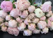 Фото компанії Flower Boutique
