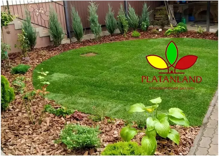 Фото компанії Platanland