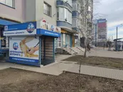 Фото компанії Ветеринарна клініка "Айболит"