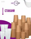 Фото компанії Next Cup