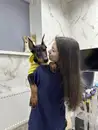 Фото компанії Overvet