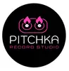 Логотип компанії Pitchka