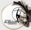 Логотип компанії Школа художньої гімнастики "ALMAZUR"