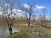 Логотип компанії Колиба на ставках