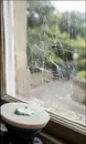 Фото компанії Polish Rivne