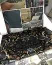 Фото компанії Галерея Декору