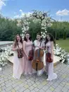 Фото компанії Струнний квартет "Quadrate"