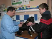 Фото компанії Ветеринарна аптека "Немо"