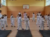 Фото компанії ТК "Воїн"