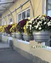 Фото компанії ЛОТ ПЛАСТ