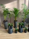 Фото компанії Nova Flora