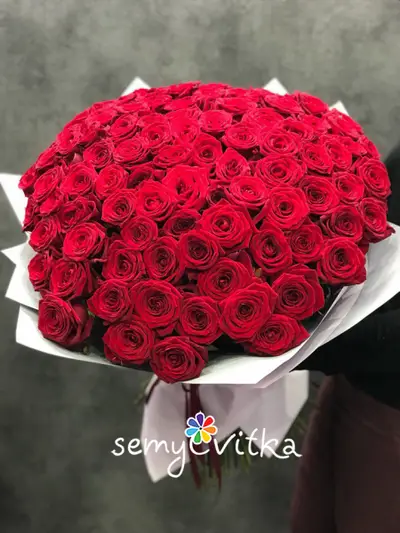 Фото компанії SemyCvitka