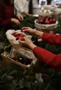 Фото компанії Квіткові майстер класи