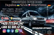 Фото компанії ROPAS BUS