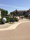 Фото компанії Туристична агенція "Гуцульські Карпати"